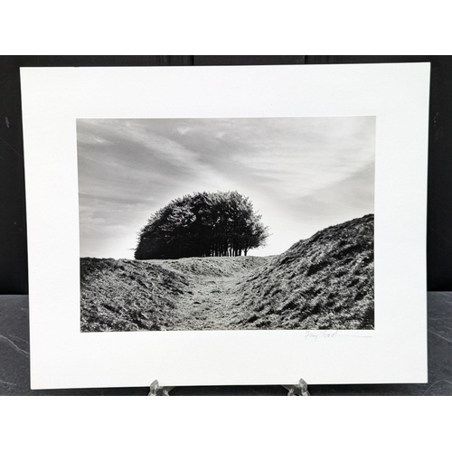 432 - FAY GODWIN (PHOTOGRAPHER 1931-2005): 'Barbary Castle, Ramparts & Clump': gelatin silver print, 1... 