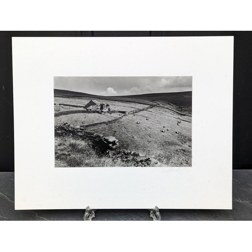 450 - FAY GODWIN (PHOTOGRAPHER 1931-2005): 'Calder Valley: Belted Galloways, Grimsworth Dean': gelatin sil... 