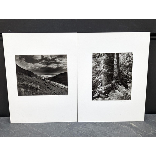 455 - FAY GODWIN (PHOTOGRAPHER 1931-2005): CALDER VALLEY: 'Chimney & Ferns, Lumb Valley': 'Widdop Rese... 