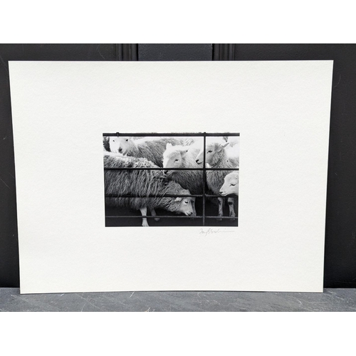 458 - FAY GODWIN (PHOTOGRAPHER 1931-2005): 'Builth Wells Market': gelatin silver print, 12.5 x 18cm, mount... 