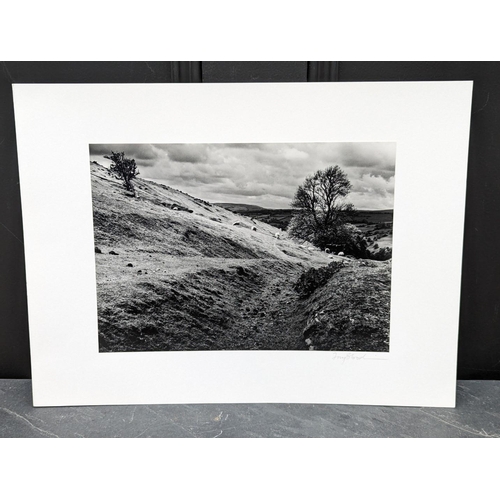 460 - FAY GODWIN (PHOTOGRAPHER 1931-2005): 'Aberedw Hill, Ruins with Sheep (Drover's Roads, Wales)': gelat... 