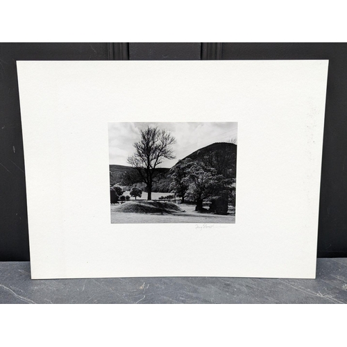 461 - FAY GODWIN (PHOTOGRAPHER 1931-2005): 'Abbeycwmhir (Drover's Roads, Wales)': gelatin silver print, ap... 