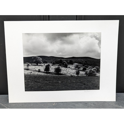 467 - FAY GODWIN (PHOTOGRAPHER 1931-2005): 'Sheep Fold, Llanbedr Hill, (Drover's Roads, Wales)': gelatin s... 