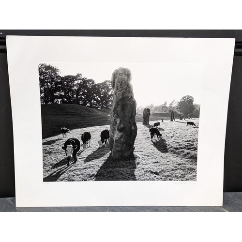 478 - FAY GODWIN (PHOTOGRAPHER 1931-2005): 'Avebury, Sunset with Cows': gelatin silver print, 29 x 37.5cm,... 