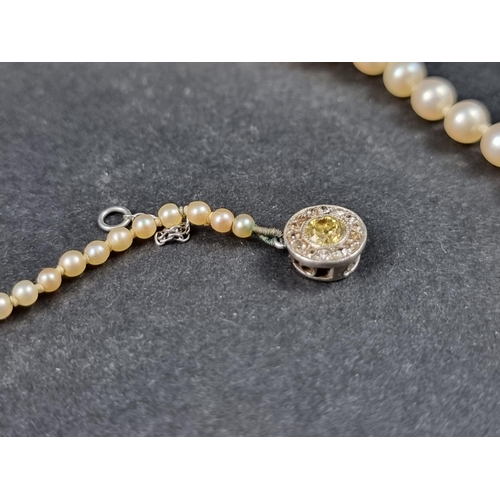 1007 - A graduated seed pearl necklace, having unmarked white metal clasp set yellow diamond and diamond ch... 