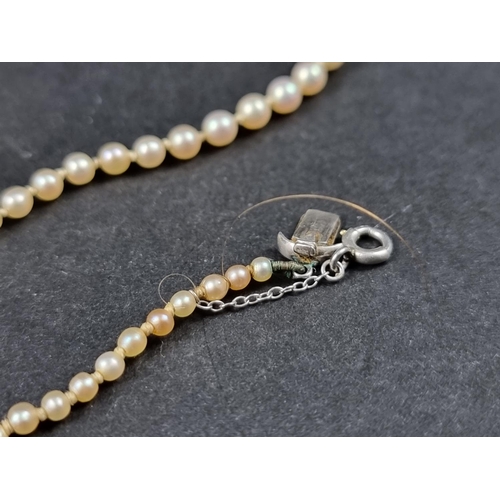 1007 - A graduated seed pearl necklace, having unmarked white metal clasp set yellow diamond and diamond ch... 