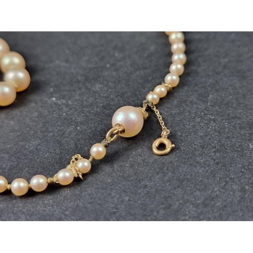 1013 - A graduated pearl necklace, approx. 45cm long.