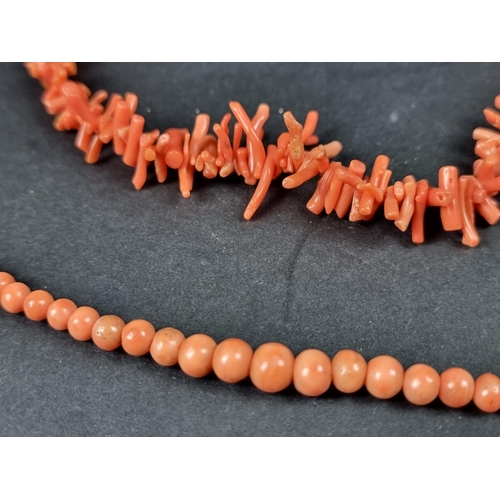 1096 - A vintage graduated coral frond graduated choker necklace, approx. 40cm long; together with a gradua... 