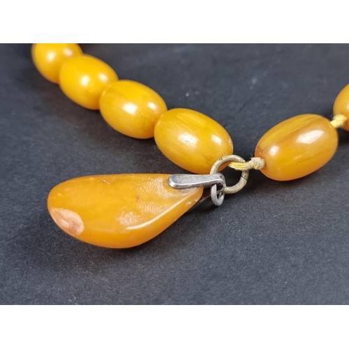 1103 - A vintage amber style bead necklace, approximately 43cm long.