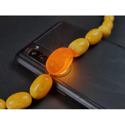 1105 - A graduated butterscotch amber bead necklace, having thirty nine beads, approximately 26 x 17mm to 1... 