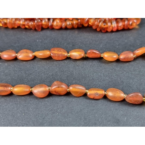 1107 - An amber bead necklace, approx. 150cm long, 50g; together with another example approximately 44cm lo... 