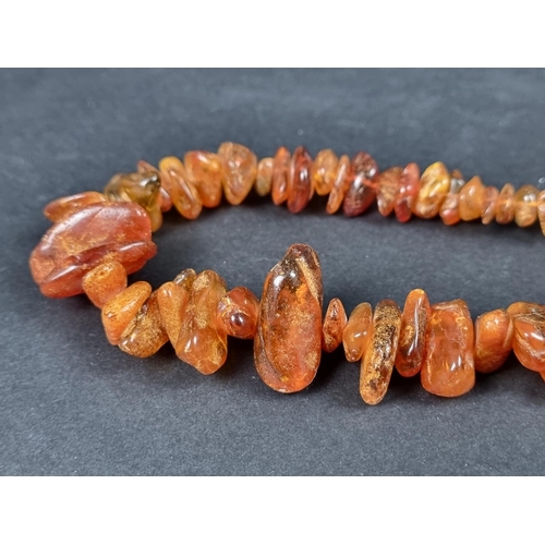 1112 - Two amber necklaces, 62cm and 70cm long, gross weight 189g.