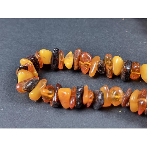 1113 - An amber necklace, approx. 66cm long, 168g; together with another amber necklace, approx. 68cm long,... 