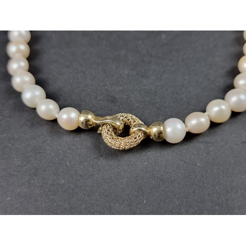 958 - A South Sea pearl choker necklace, having 43 pearls, each approx. 8mm, with a 14k/585 clasp, stamped... 