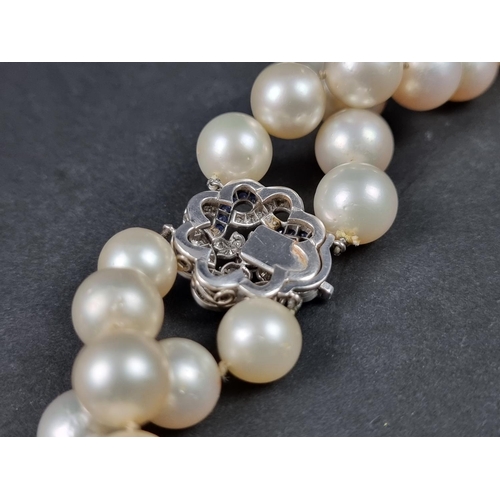 959 - A South Sea freshwater pearl necklace, having precious metal diamond and sapphire set floral knot cl... 