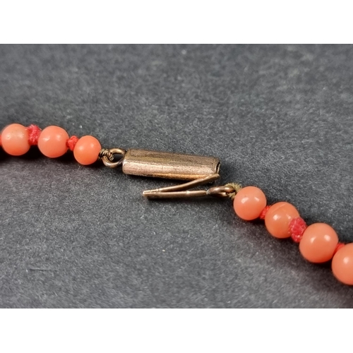 965 - A coral graduated bead necklace, having plated clasp, approximately 43cm; together with a ring, set ... 