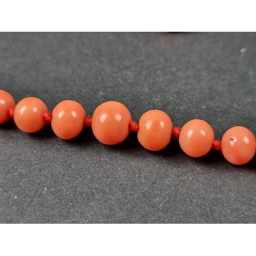 965 - A coral graduated bead necklace, having plated clasp, approximately 43cm; together with a ring, set ... 