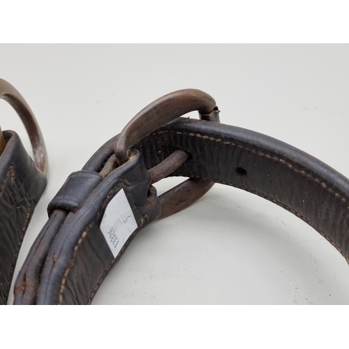 1311 - A Victorian brass and leather dog collar, inscribed 'Alfred A Grosvenor, Guys Hospital', further ins... 