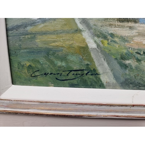 1336 - Ivan Taylor, 'River Douro, Portugal', signed, labelled verso, oil on board, 39 x 59cm.... 