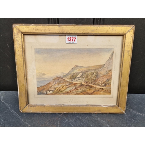 Lot 1377      