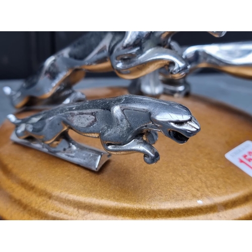 1520 - Automobilia: an unusual display of four vintage chrome car mascots, to include three Jaguar examples... 