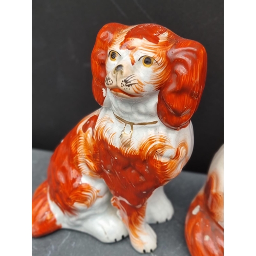 1537 - A rare Victorian Staffordshire pottery figure of a standing spaniel on pink cushion, 19.5cm high; to... 