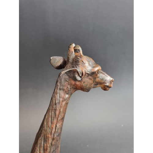 1717 - Two Liberty style tan leather giraffes, in the manner of Omersa, largest 74cm high.