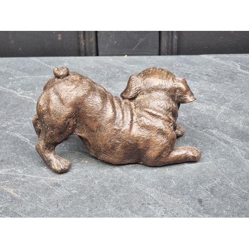 1569 - A bronze pug, 17.5cm long. 