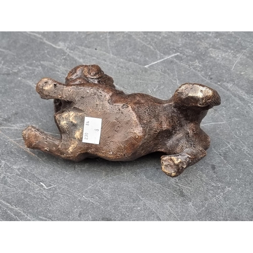 1569 - A bronze pug, 17.5cm long. 