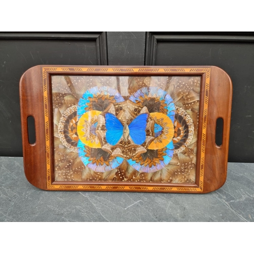 1061 - A Brazilian butterfly wing tray, 52.5cm wide. 