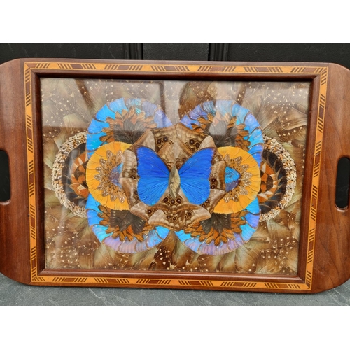 1061 - A Brazilian butterfly wing tray, 52.5cm wide. 