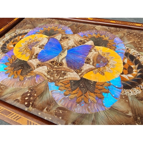 1061 - A Brazilian butterfly wing tray, 52.5cm wide. 