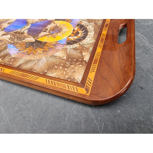 1061 - A Brazilian butterfly wing tray, 52.5cm wide. 