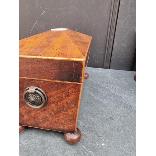 1189 - Two Georgian mahogany tea caddies, largest 29.5cm wide.