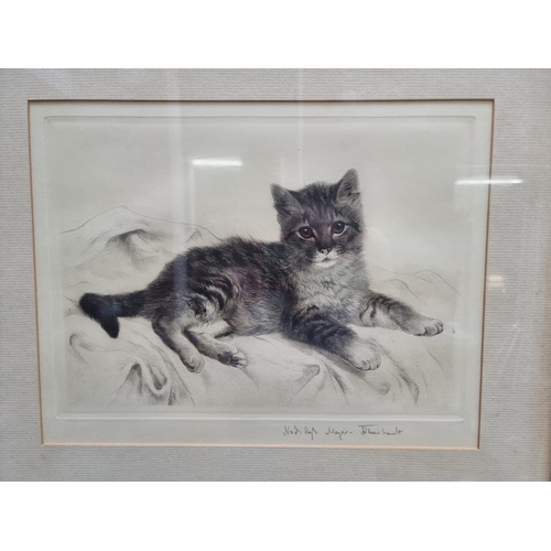 1289 - Kurt Meyer-Eberhardt, reclining kitten, signed in pencil, etching, pl.24 x 33cm.... 