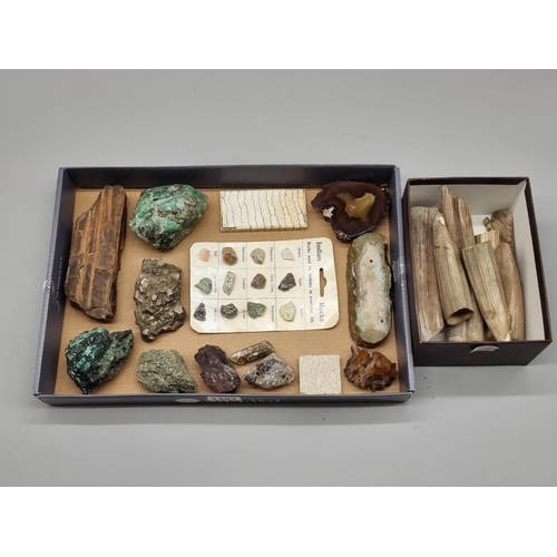 1481 - Natural History: a collection of rock and crystal specimens; together with a mammoth tooth section; ... 