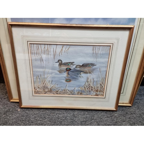 1356 - John Baxendale, tufted ducks; long tailed tits; teal, three works, each signed, watercolour and goua... 