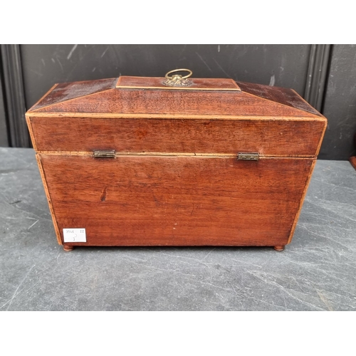 1125 - A rosewood sarcophagus tea caddy and cover, 39.5cm wide; together with another 19th century mah... 