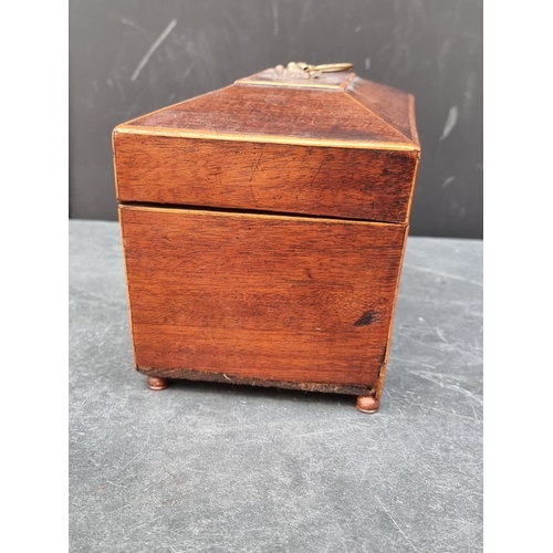 1125 - A rosewood sarcophagus tea caddy and cover, 39.5cm wide; together with another 19th century mah... 