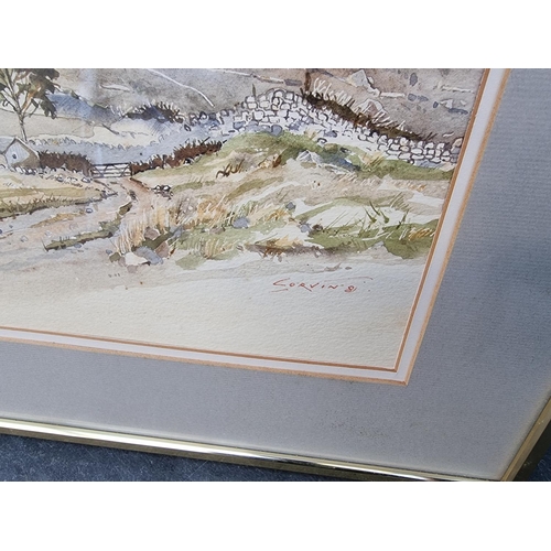 1266 - John Corvin, a Welsh mountain, signed and dated '81, watercolour, 29.5 x 42.5cm.