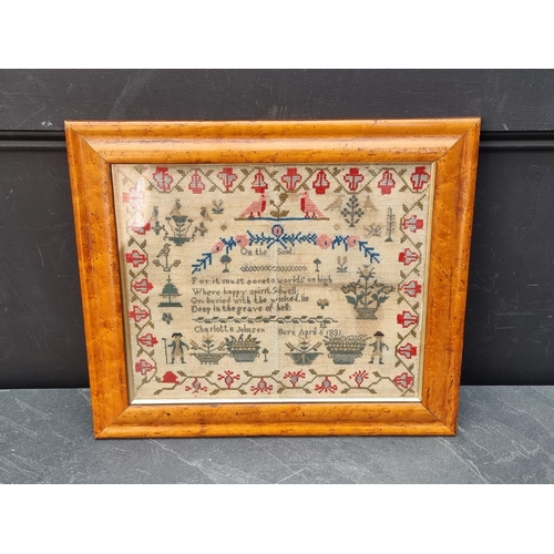 1294 - An early Victorian needlework sampler, inscribed 'Charlotte Johnson, Born April 6th 1831', 31.5 x 38... 