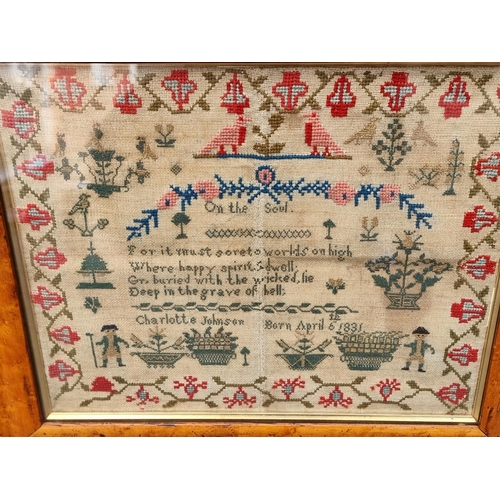 1294 - An early Victorian needlework sampler, inscribed 'Charlotte Johnson, Born April 6th 1831', 31.5 x 38... 