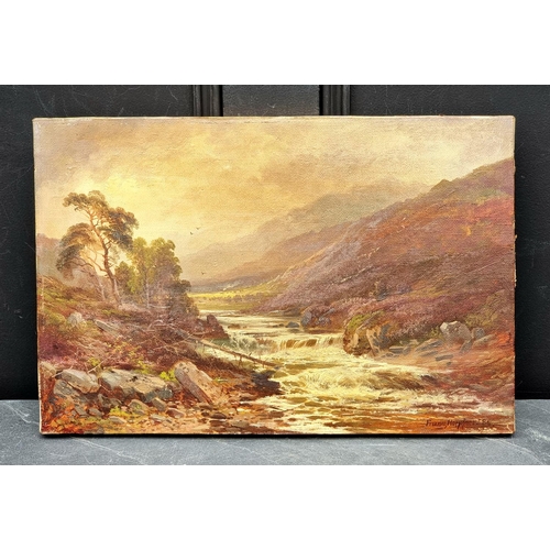 1303 - Franz Hoepfner, a river scene, signed and dated '86, oil on canvas, 30 x 46cm, unframed.... 