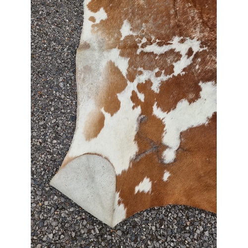 1142 - An old cow hide rug, 184cm long x 202 wide.