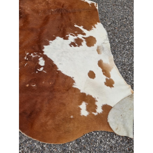 1142 - An old cow hide rug, 184cm long x 202 wide.