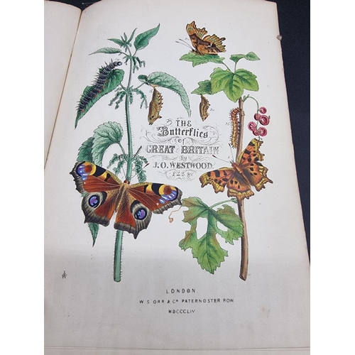 10 - WESTWOOD (J O): 'The Butterflies of Great Britain, with their Transformations Delineated and Describ... 