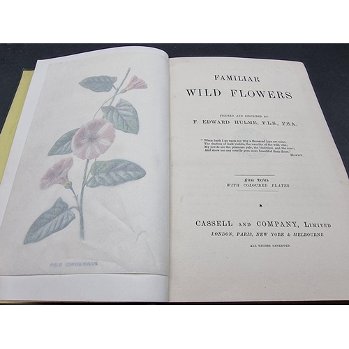 115 - HULME (F Edward): 'Familiar Wild Flowers..', London, Cassell, n.d (c.1890): 6 vols, colour plat... 