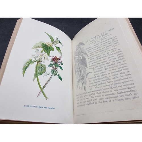 115 - HULME (F Edward): 'Familiar Wild Flowers..', London, Cassell, n.d (c.1890): 6 vols, colour plat... 