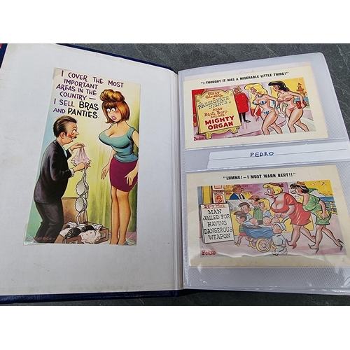 158 - SAUCY POSTCARDS: a modern album of approx 200 cards, inc. examples by Pedro, Tempest, Tom Brown... 