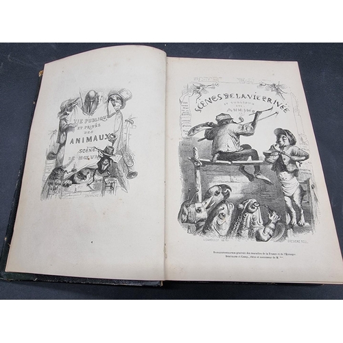 178 - GRANDVILLE (Illustrator): 'Scenes de la Vie Privee et Publique des Animaux...', Paris, Hetzel e... 